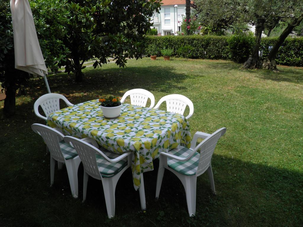 Apartment Branka