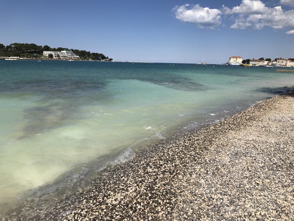 Branka Apartment Poreč